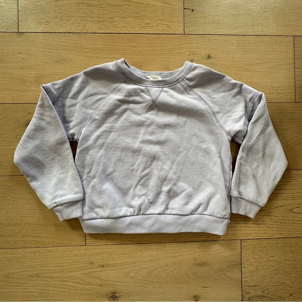 Crewcuts Purple Sweatshirt Casual Style